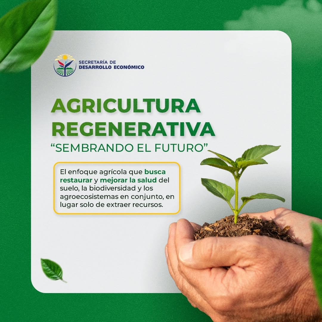 Agricultura Regenerativa: Más que cultivar, es sanar la tierra. 🌿
La agricultura regenerativa es el...